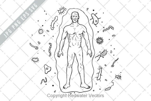Download Human Attacked by Virus Bacteria Drawing - Virus Collection